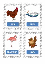  flashcard animals 2