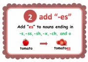 Rules of Plurals