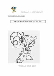 English Worksheet: Fuleco - World Cup Mascot