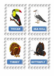 animals flashcards 3