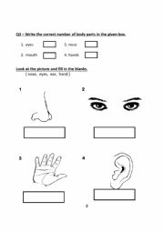 English Worksheet: Test paper
