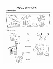 English Worksheet: Animals and Colours worksheet