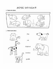 Animals and Colours worksheet