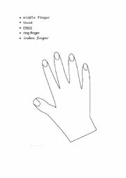 hand -fingers 