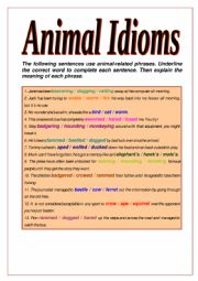 English Worksheet: Animal idioms