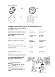 English Worksheet: What time is it? & Frequency Adverbs