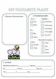 English Worksheet: My favourite plant