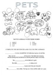 English Worksheet: PETS vocab, simple present and present continuous sentence practice