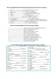 English Worksheet: Exercises in Present Simple Tense