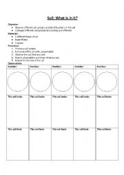 English Worksheet: Soil - What is in it?