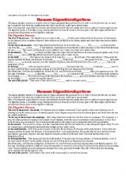English Worksheet: Digestive System