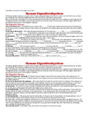 English Worksheet: Digestive System