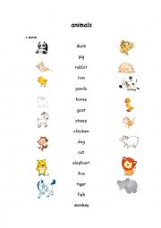 English Worksheet: animals