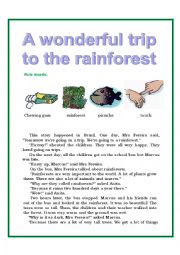 English Worksheet: Reading. A wonderful trip to the rainforest