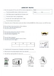 English Worksheet: VIDEO SESSION MUPPETS SWEDISH CHEF