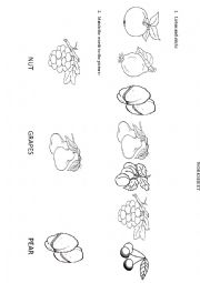 English Worksheet: fruit