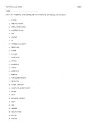 English Worksheet: irregular verbs exam