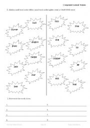 English Worksheet: Compound words_Animals