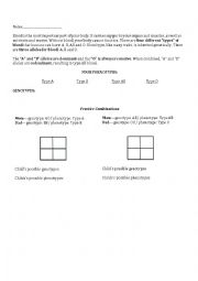 English Worksheet: Blood Type Genetics