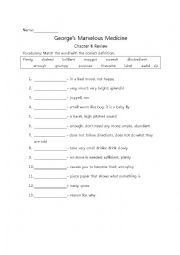 English Worksheet: Georges Marvelous Medicine Comprehension Worksheets