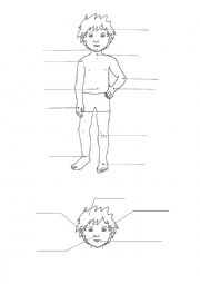 English Worksheet: My face and my body