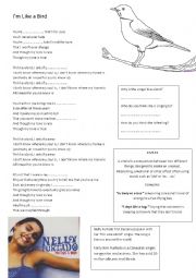 English Worksheet: Nelly Furtado Im Like a Bird worksheet