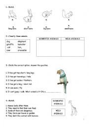 English Worksheet: Domestic and wild animals