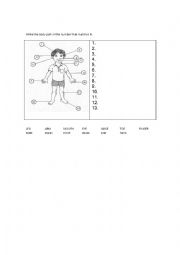 English Worksheet: Body parts exercise