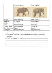 English Worksheet: African and Asian Elephants