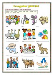 English Worksheet: Irregular Plurals (worksheet)