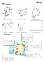 English Worksheet: Facial Features