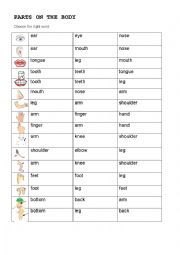 English Worksheet: PARTS OF THE BODY