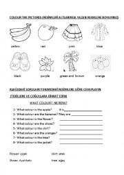 English Worksheet: what color