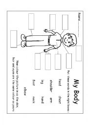 English Worksheet: body parts