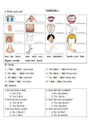 English Worksheet: parts of the body - have or has