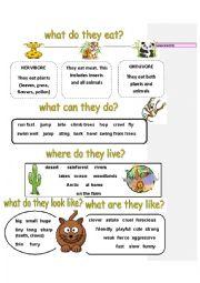 English Worksheet: animal facts