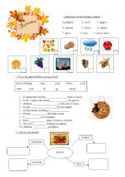 English Worksheet: Autumn words pratice