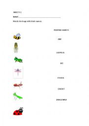 English Worksheet: Learning insect names