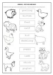 English Worksheet: Farm Animals - Mothers and Babies