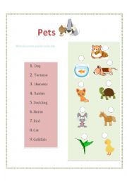 English Worksheet: Pets