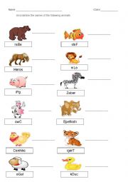 English Worksheet: Animal Spelling