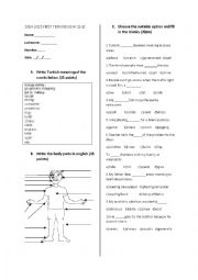 English Worksheet: quiz for elementary students