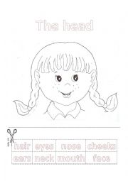 English Worksheet: THE FACE
