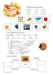 English Worksheet: Autumn worksheet