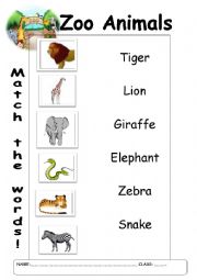 English Worksheet: Zoo Animals