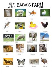 English Worksheet: amimals
