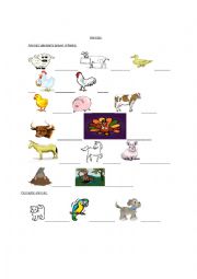 English Worksheet: Animal Pictionary 1