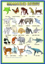 English Worksheet: Endangered animals: pictionary