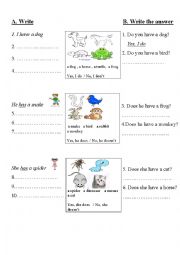 English Worksheet: have or has