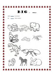 English Worksheet: BIG OR SMALL